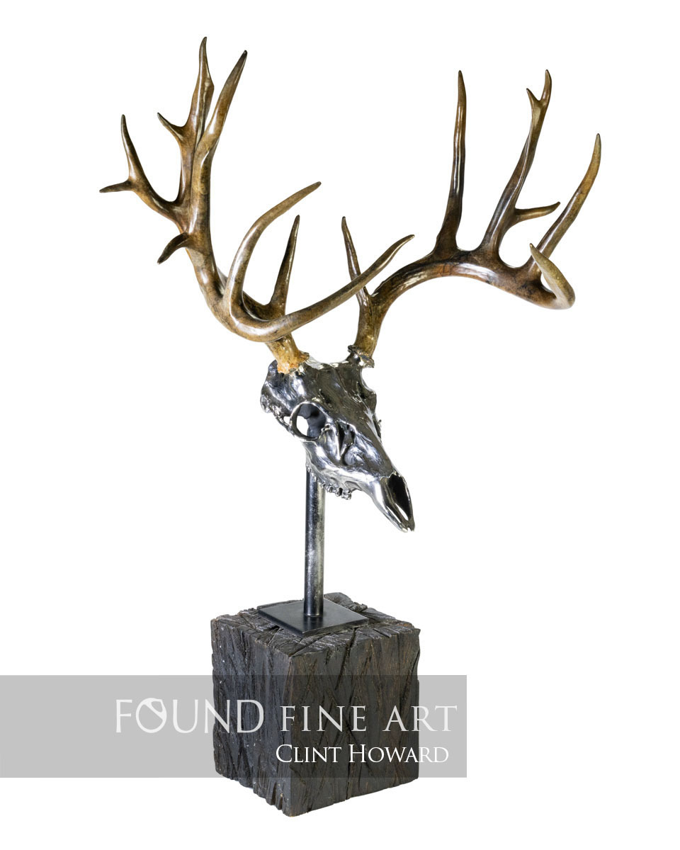 Whitetail Deer Skull (Tabletop)