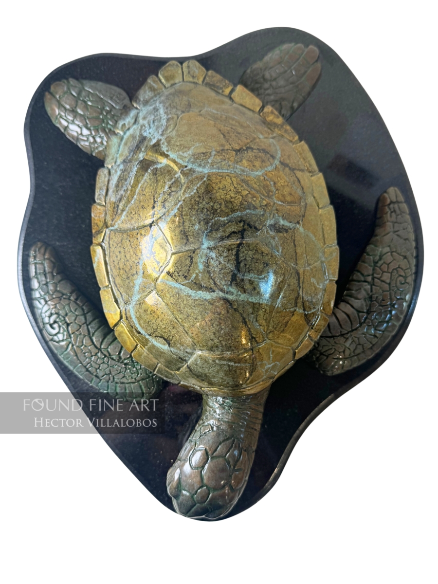 Sea Turtle-Bronze