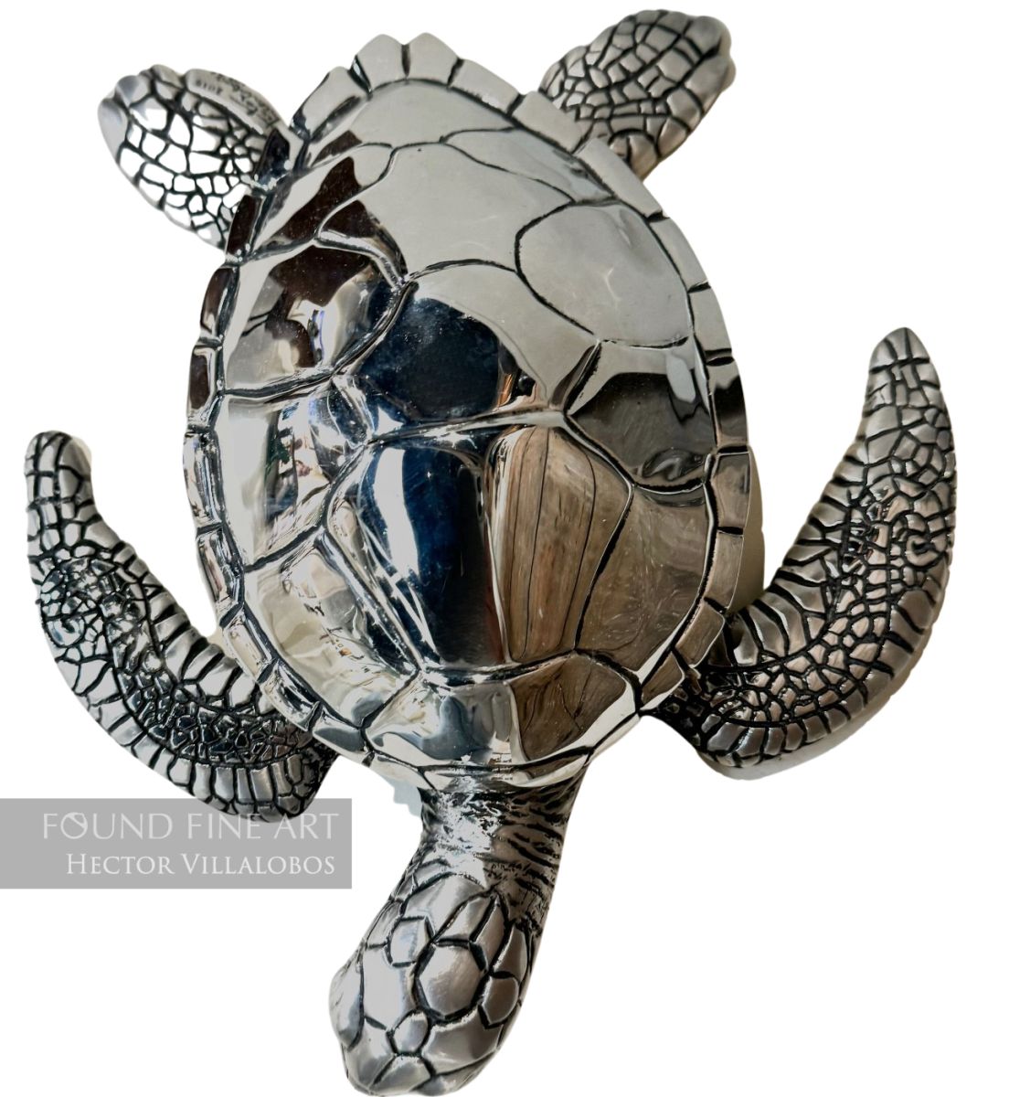 Sea Turtle-Stainless Steel