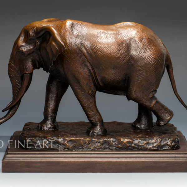 African Bull Elephant