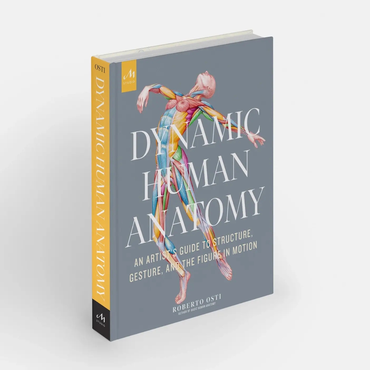 Dynamic Human Anatomy: Artist Guide to Structure & Gesture
