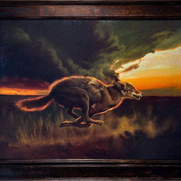 Outrunning the Storm