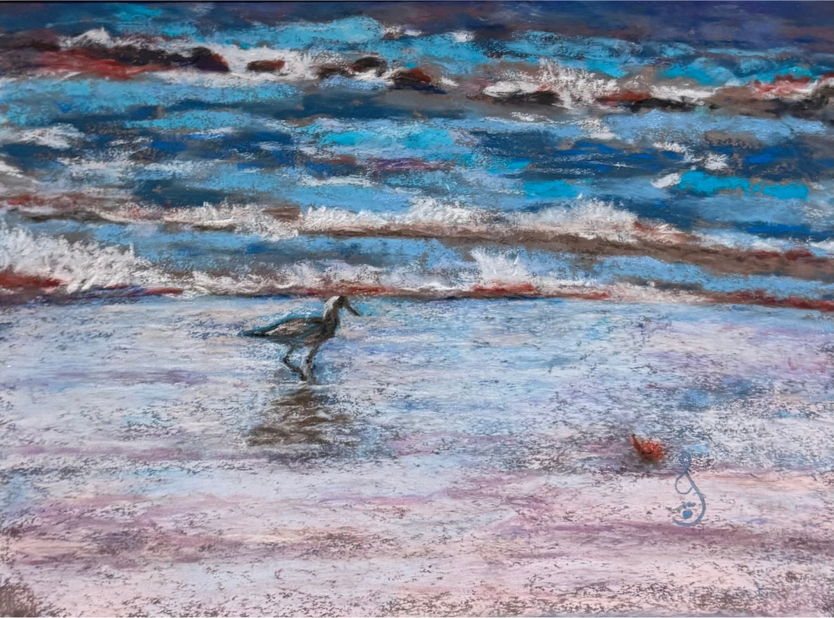 Sandpiper Scrolling