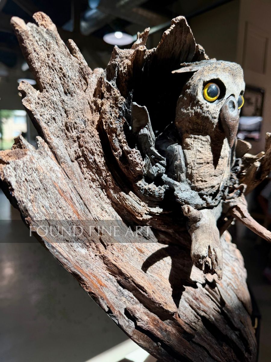 What, When, Where (Owl)