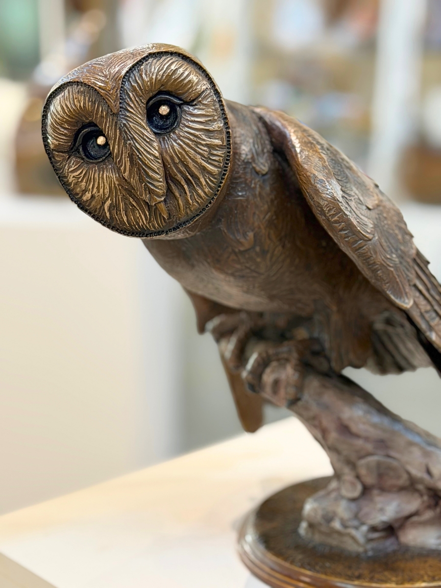 The Wise, Swift Owl
